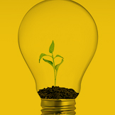 ambiental